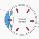 형제안과 이미지