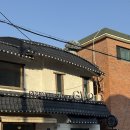 지비오 | 안산 사동 실내 애견동반 카페 지비오 GVO안산본점 메뉴 가격 후기
