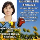 하우스코너공인중개사사무소 이미지