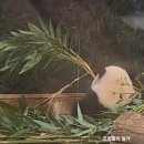 공휴일 에버랜드에 판월만 6번, 모녀싸움과 퇴근길 그리고 행운의 주인공+밤에 타는 아마존