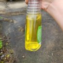 이연농장 | 친환경 비료 식물영양제 휘파람소리