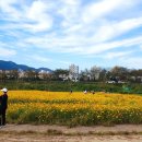 황산공원 족구장 이미지