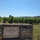 부르고뉴 페블레 Domaine Faiveley 와이너리 예약, 투어, 뉘생조르주 식당 추천, 끌로드부조 캐슬 _ Day9