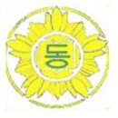 광양동초등학교 이미지