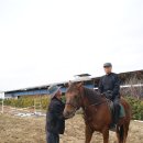 신포농장 이미지