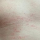 건강한 영유아 비건 아기화장품 고보습 아이아움 아기 로션 후기