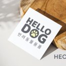Hello Dog 이미지