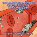에버웰 이미지