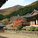 나주 덕룡산 불회사 羅州 德龍山 佛會寺 이미지