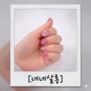 네네살롱 이미지