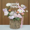 콩쓰플레르