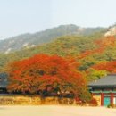 속리산 - 성남시 중원구 시민로117번길 2 | 속리산