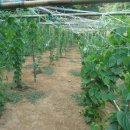 남구-038 이미지