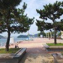 돌산해양낚시공원낚시터 | 전남 여수시 가볼만한 곳 : 여수 해양공원 (드론 영상)