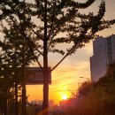 요섭목장 | 20221002