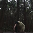 삼인목장 이미지