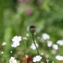 백운교회어린이집 이미지