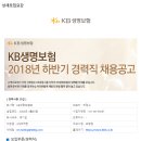 [KB생명보험(주)] 2018년 하반기 경력직 채용공고 (~12/31) 이미지