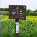 왕숙천 둔치공원(토평교) 이미지