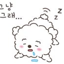 츄츄동물병원 네이버블로그