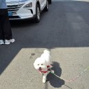 울산광역시 남구 옥동 행정복지센터 이미지