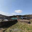 신안천사공인중개사사무소 이미지