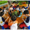 관호초교(병설) 이미지