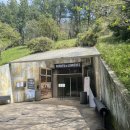 코앞커피숍키바한1475 | 야무졌던 제주 성산읍 가볼만한곳 5