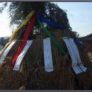 성상2리 이미지