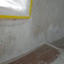 수송세영리첼 이미지