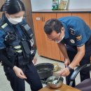 댕댕이 지구대 이미지