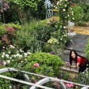 꽃이랑나무랑 이미지