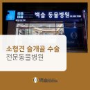 유일동물병원 이미지