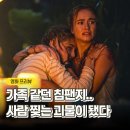극장통길 (자매분식) | 영화 프라이메이트 정보 출연진 폭주하는 침팬지의 핏빛 공포