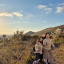 미영농장 이미지