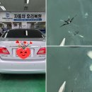 덴토피아자동차유리복원