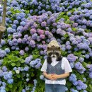 에코피에스 | [월간뜨개 6월] 관종 코바늘쟁이