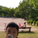 점섬운동장 이미지