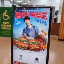 전격 | 보일링 씨푸드 버거 [버거킹 보일링씨푸드] 앱 쿠폰 할인으로 2종 전격 비교 후기!
