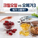마음아크릴 | 크릴오일과 오메가3, 뭘 골라야 할까? 성분표 보는 법부터 부작용까지 솔직 후기!