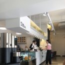 꿀리 이미지
