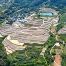 사포마을 이미지