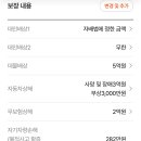 자동차보험 갱신할려고 하는데 한번 봐주세영 이미지