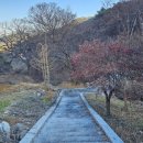의령 수도사 칠성탱 | [의령 가볼만한곳] 경남 의령 신덕산 수도사