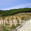 불광동 423 이미지