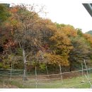 삼성사슴농장 이미지