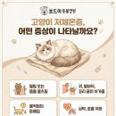 왜관동물병원 이미지