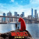 더빅 이미지