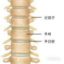 북경한의원 이미지