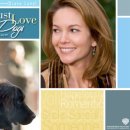 러브독스 이미지